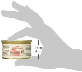 Miniatura 9 de Royal Canin Feline Health Nutrition Adult Instinctive Thin Slice In Gravy, comida para gatos en lata, Paquete de 6