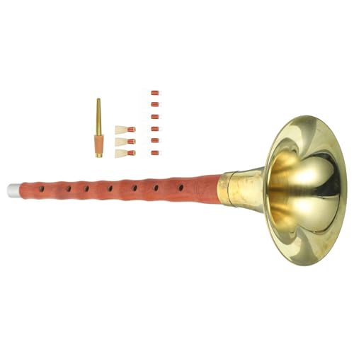 WHAMVOX Suona Profesional China de Palisandro Rojo para Principiantes, Instrumento de Viento en Clave D, Práctico y Tradicional, Adecuado para Enseñanza y Festivales, Color Aleatorio