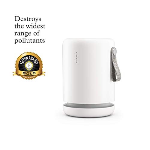 Molekule Mini Air Purifier with PECO Purification Technology, White