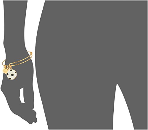 Alex and Ani Team USA Soccer Expandable Bangle Bracelet2