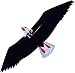 QIANMEI Drachen Kinder Eagle Kite, Stranddrachen, mit Grifflinie Eagle Kite Bar Kid Kite Surfen for Anfänger und Profis (Color : Black, Size : 215x80cm)