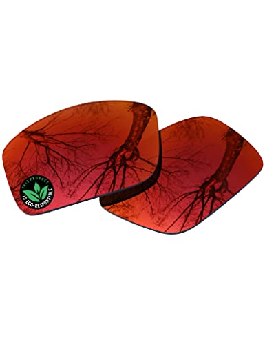 Image of Raydi Polycarbonate Replacement Lenses for Costa Del Mar Rincon 06S9018 Sunglasses