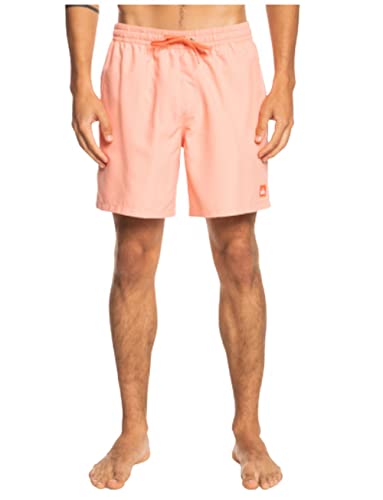 Quiksilver Men's Standard Everyday 17 Volley Swim Trunk Bathing Suit