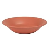IJ 毎日遣い 割れない 小皿 取り皿 レンジ 対応 14cm 食洗機対応 日本製 ホームパーティ アウトドア 子供用 おしゃれ かわいい レッド 赤 子供 スイーツ スープ サラダ 小鉢 プラスチック 耐熱110度 デイリー小皿 マット レトロカラー 落ち着いた plate BPAフリー お祝い プレゼント ギフト PTW200 Plakira プラキラ アイジェイ 石川樹脂工業