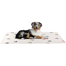 Dog Mat for Food and Water, Crate Pad, and Floor Protector - 55 x 28 Extra Large PVC Memory Foam Pad with Non-Slip Bottom - Stain, Scratch, and Water-Resistant Floor Mat by PETMAKER Dog Bones