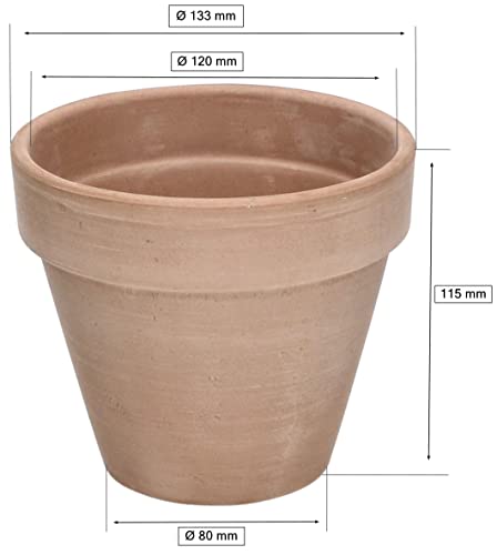 KOTARBAU® Terracotta Flower Pot Planter with Rim for Indoor and Gardens M, Garden, Mocha Diameter: 13 Cm - Image 2