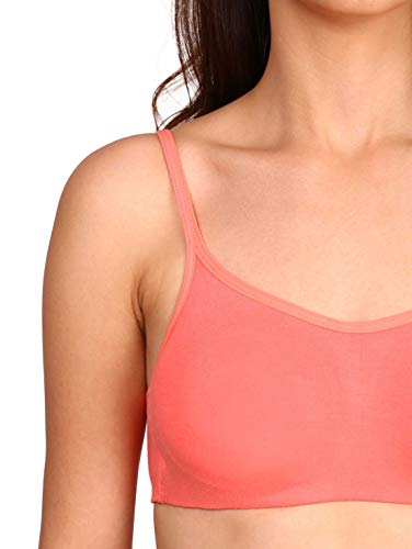 Image of Jockey SS12 Women Wirefree Non Padded Super Combed Cotton Beginners Bra