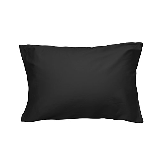 Jo[ 100 TeD 300{xn h_j R hL zei  炩 _炩 s[P[X Iׂ9F 4TCY n  ubN 43×63cm