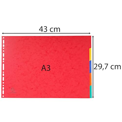 Intercalaires de classement A3 Exacompta carton de 20 intercalaires rigides - 5
