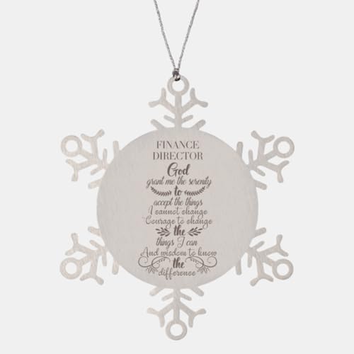 Bible Verse Finance Director Ornament, Religious Gifts Finance Director God, Grant Me The Serenity to Accept The Things I Cannot Change Quote Gifts for Finance Director, Motivational