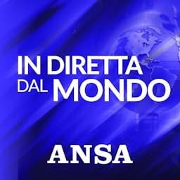 Page de couverture de ANSA In diretta dal mondo