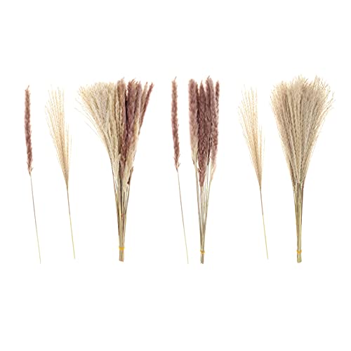 NC Conjunto de 70 Rustic Farm Dried Pampas Grass Bunch para Festa No Jardim Doméstico