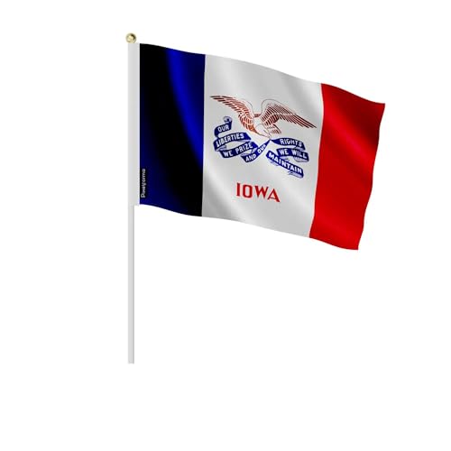 Mini drapeau Iowa 20x30cm en lot de 100 pour vos fêtes à thème américain
