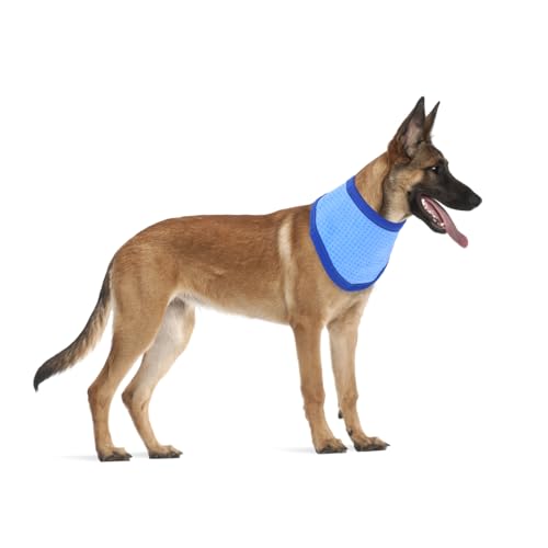 CLISPEED Hundehalsband Kühlendes Halstuch Aus Atmungsaktivem Material Für Kleine Hunde Blau s Sommer Haustier Zubehör