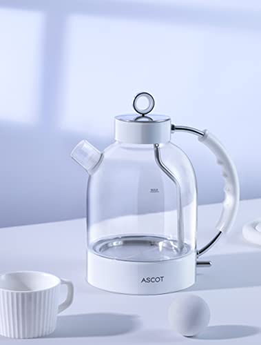 Glass Electric Kettle Gifts for Men/Women/Family
