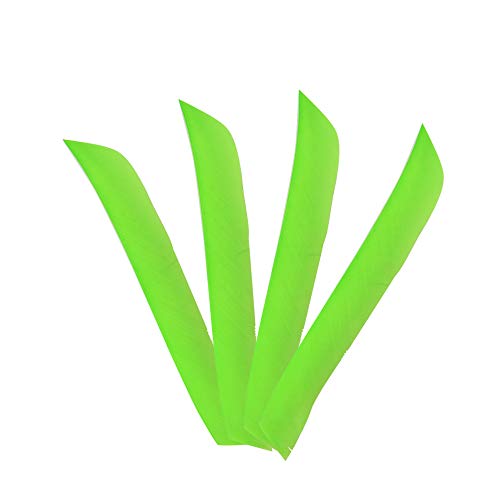 ZSHJGJR 50 Pack Archery Arrow Spiral Twist Wrap Full Length Feathers Left Wing Feathers Fletches Fletching (8-11inch) for Flu-Flu Arrows (Light Green)