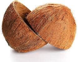 20Pcs Halves Eco-Friendly Ceylon 100% Natural Coconut Shell Halves Organic 20 Pieces Halves #TOP3