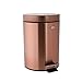 Ribelli® Kosmetikeimer mit Tritt, Tretmülleimer mit Deckel, Abfallbehälter für Küche und Bad, Mülleimer mit Kunststoffeinsatz und Tragegriff, 3L und 5L (3 Liter, Kupfer)