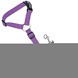 Gkumgwo Hundesicherheitsgurt Geschirr Für Auto,Einziehbarer Sicherheitsgurt Robustes Haustierzubehör - Kleine Katzen Sicherheitsgurt Geschirr - Für Kleine Mittlere Große Kätzchen Welpen Reisen