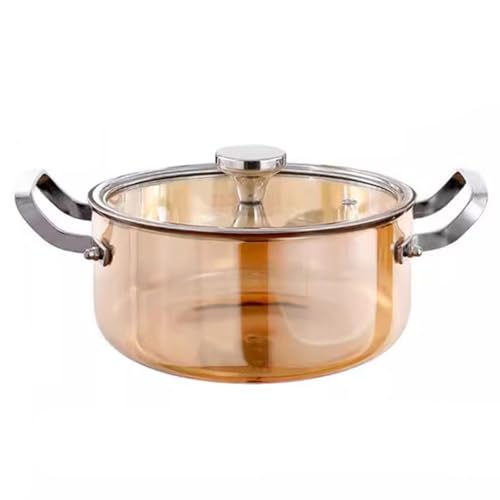 Casserole de mijoteuse transparente pour préparer de bons petits plats faits maison en famille