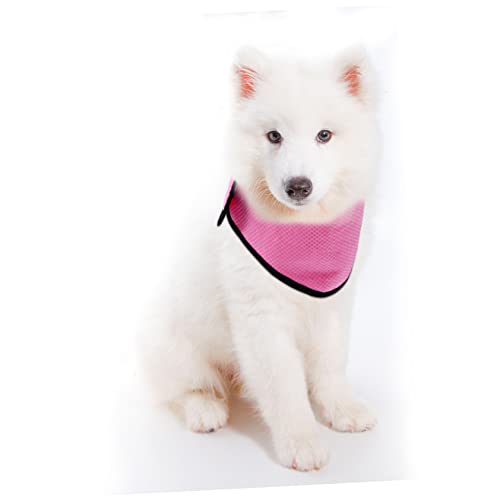 Collier rafraîchissant pour chien contre les coups de chaleur - 4