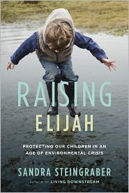 Hardcover Raising Elijah: (A Merloyd Lawrence Book) Publisher: Da Capo Press Book