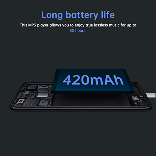 80Gb Mp3 Player #TOP6