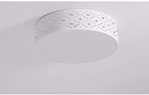 Plafond extérieur moderne LED pour remplacer un éclairage faible de restaurant 24W - 2