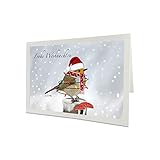 Ein perfektes Weihnachtsgeschenk für Vogelfreunde