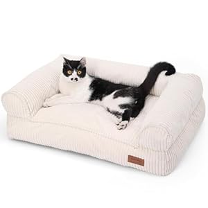 FUKUMARU Katzensofa Bett, Corduroy Gemütliches Katzenbett für drinnen mit abnehmbarem waschbarem Bezug, Stützendes Anti-Rutsch Hundebett Sofa für kleine Hunde, 72 x 52 x 22 cm, Mittel, Creme
