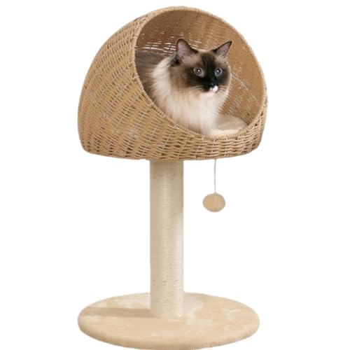 L^[ ~j {[ ^ @\ LpLbg^[ ؐ ~jLƋ L^[ {Et {E Xy[Xߖ ȒPɓoBL̒܌ Ou Rbg[v ̃{[ L̐Q {[̌` VR[vBLA얞LAZLAqLA