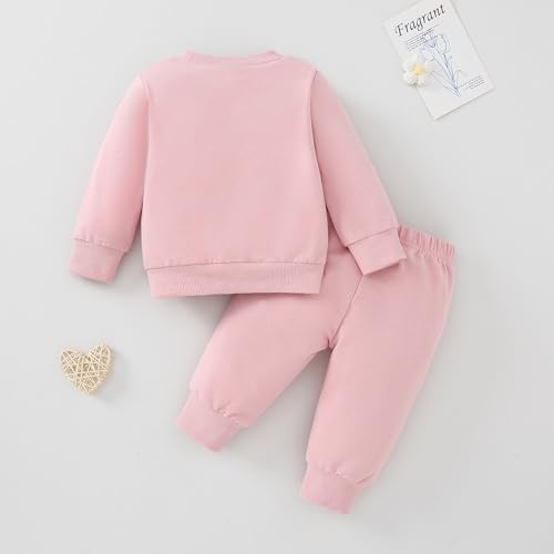 Toddler Girl Fall Winter Clothes Baby Crewneck Floral 3D Embroidery Sweatshirts Pants Set Long Sleeve Outfits Set3