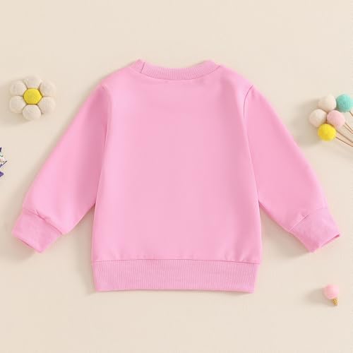 Toddler Baby Birthday Girl Sweatshirt It's My Bithday Funny Embroidery Letter Print Long Sleeve Loose Pullover Top3