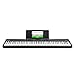Alesis 88 Key Keyboard Piano with 480 Sounds, Speakers, USB MIDI, Carry-Bag, Stand, Headphones, Pedal and Piano Lessons for Beginners