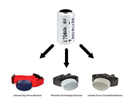 extreme dog fence collar