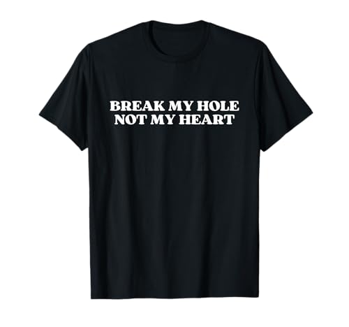 Break My Hole Not My Heart Y2k Aesthetic Funny Gay T-Shirt