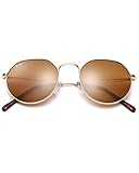 Pro Acme Glass Round Sunglasses for Women Men, Metal Frame Polygon Shades Sun Glass 53MM (Gold/Brown)