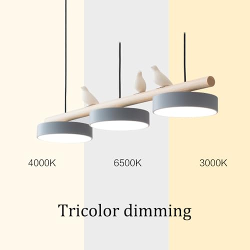 Lampe suspendue de ferme à intensité variable pour salle à manger - 5