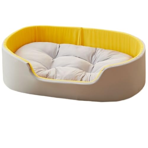 DancJulie �I�[���V�[�Y���Ή��̌������A����A�􂦂�A���ɋ����L�����A�\�t�@�����A�~�g�����Č����h�������A��d�w (L,�C�G���[)