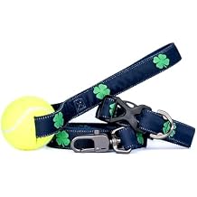 StadiumSpot St. Patricks Day Holiday Cheer Dog Gift Set, Festive Collar, Leash, and Tug Toy Combo, 4 Leaf Clover, Large