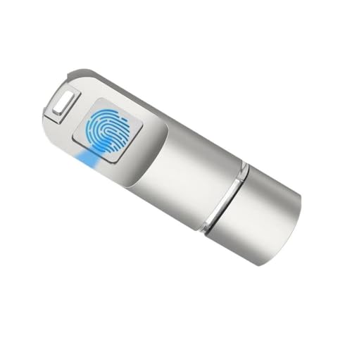 Clé USB C à Empreintes digitales, Stockage en métal de Type C pour téléphone Portable, 256 go, 128 go, 64 go, 32 go, 16 go, Gestion de Disque USB, de...