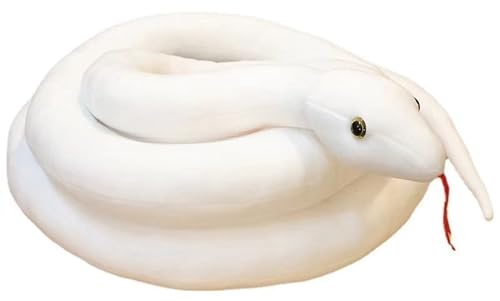 QztuoryjVLwr ʂ A wr  NbV u  l` x  A ʔ  N wr ʂ ӂӂ _炩 CeA hbL v[g q l Mtg v[g (200cm