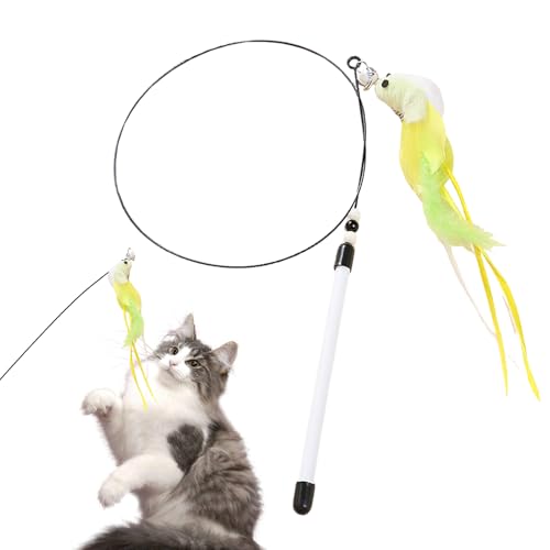 �L����炵 - 80cm �C���^���N�e�B�u ���A���L�ߋ� - �J���t���Ȕ��Ɨ�,���X�̃����b�N�X �ƒ�̃��[�e�B�� �J��[�߂�V�ю��� �����^�� ���G�����b�`�����g �q�L�p