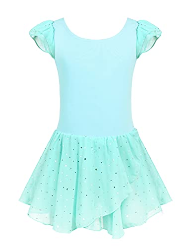 Image of Arshiner Girls Ruffle Sleeve Ballet Dance Dress Tutu Skirted Leotard