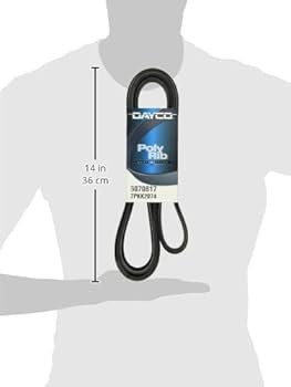 Amazon.com: Dayco 6070817 Serpentine Belt : Automotive