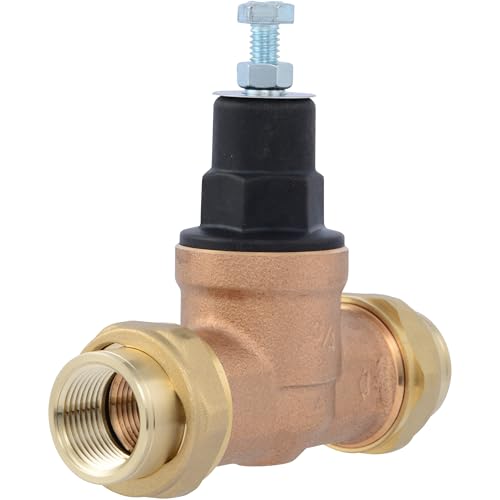 Cash Acme EB45 Pressure Regulating Valve, Double Union, 3/4 Inch NPT Female, Poly Top, 60 PSI, PVA16P-DUTH-60, Brass