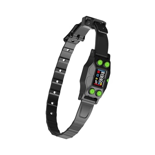 Advanced GPS Dog Fence Collar Kit