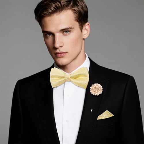 Image of Hi-Tie Bow Ties for Men Pre-Tied Pocket Square with Cufflinks Mens Bowtie Sets for Wedding Formal Party