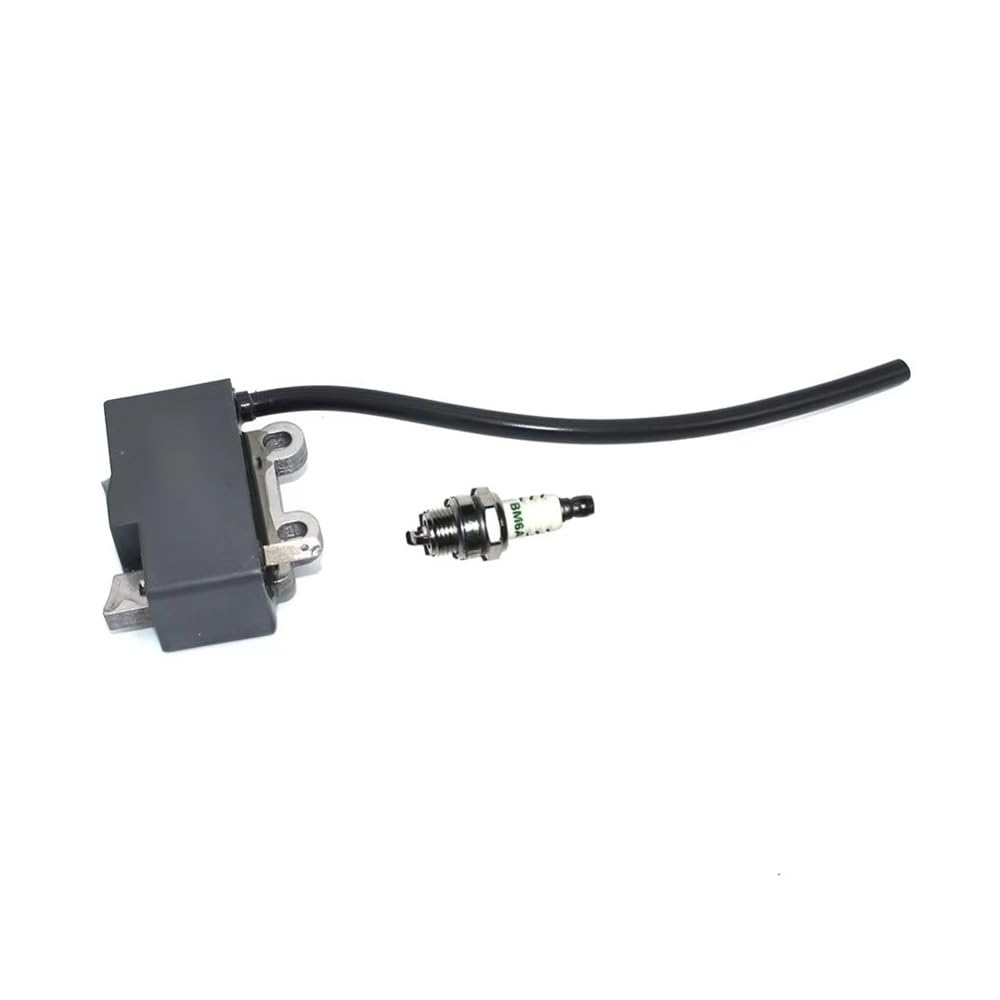 Bobine d'allumage résout ratés moteur ES-250 PB-250LN A411000501 BM6A