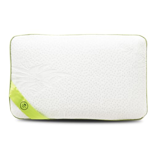 SAMPUR - Oreiller Fantasio | Mousse à mémoire de Forme Microperforée & Ventilée | Housse hypoallergénique et Lavable | Maintien Optimal de la Nuque (Bandeau Vert, 30x50 cm)